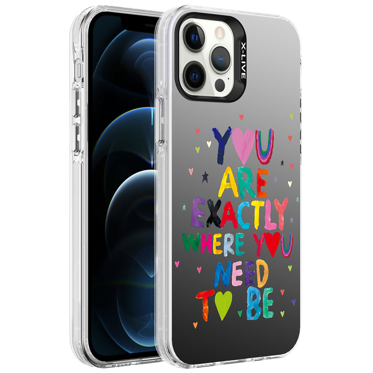 iPhone Uyumlu 12 Pro Kılıf Desenli Tuhatu Silver Sert Kapak-You