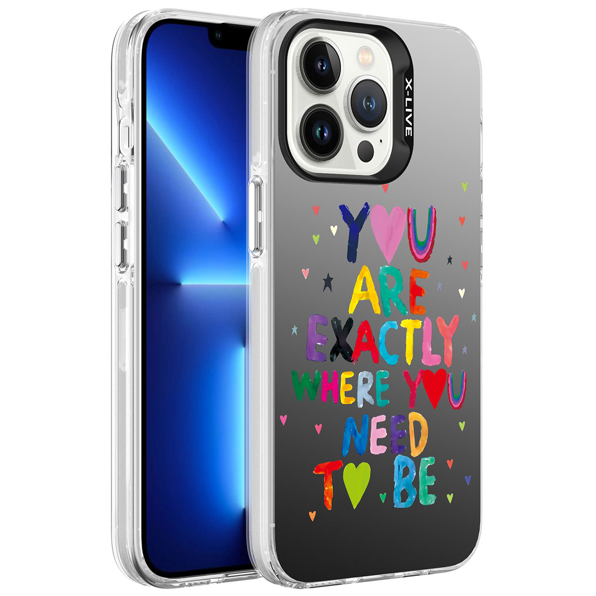 iPhone Uyumlu 13 Pro Max Kılıf Desenli Tuhatu Silver Sert Kapak-You